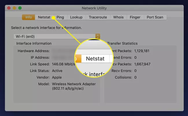 Pestaña Netstat en Utilidades de red