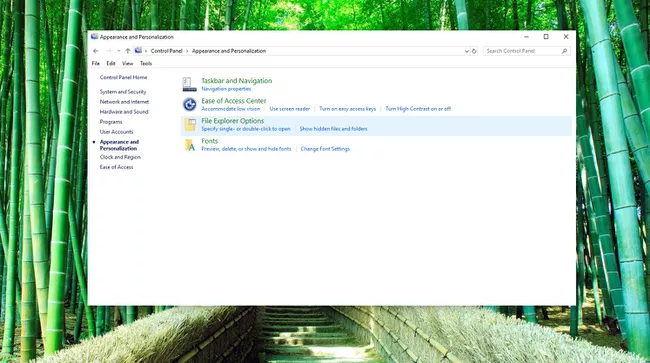 Captura de pantalla de las opciones del Explorador de archivos en Apariencia y personalización