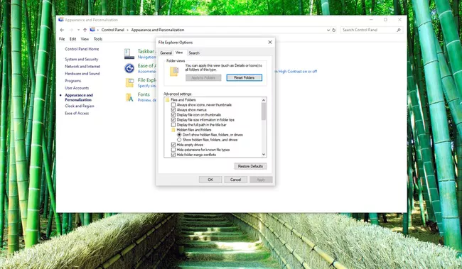 Captura de pantalla de la pestaña Ver en las opciones del Explorador de archivos
