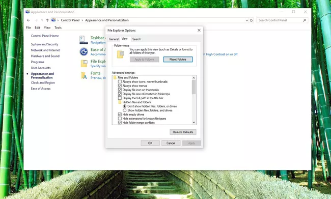Captura de pantalla de archivos y carpetas ocultos en las opciones del Explorador de archivos