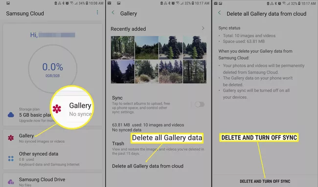 Eliminar todas las fotos de Samsung Cloud Gallery