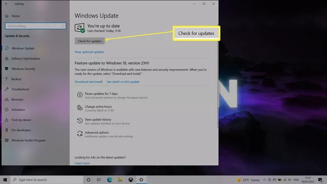 Actualizaciones seleccionadas de Windows 10 para buscar actualizaciones